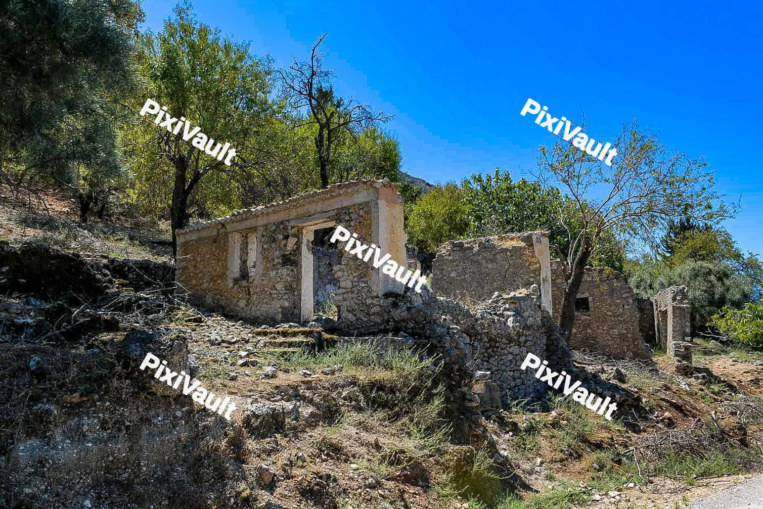 Palia Plagia